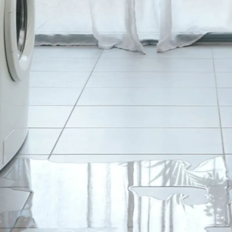 Appliance Leak Cleanup in Tukwila, WA
