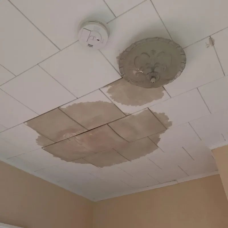 Ceiling Water Damage Repair in Tukwila, WA