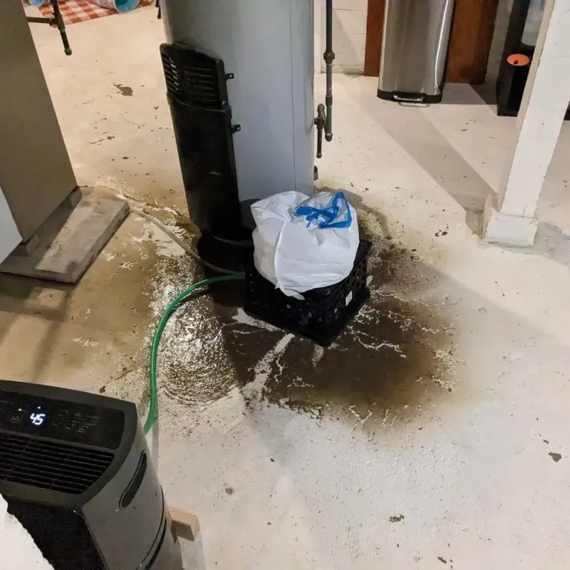Sewage Backup Cleanup Service in Tukwila, WA